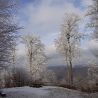 Brockenblick