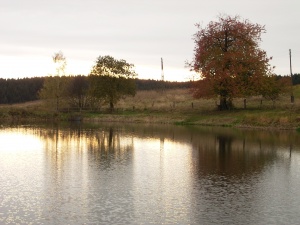 Dorfteich Sophienhof