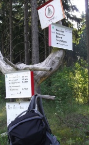 Wegweiser auf der Hälfte der Strecke