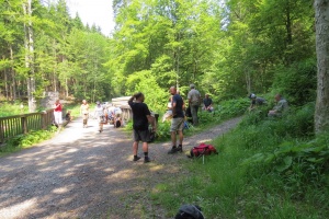 Mittagsrast im Elendstal