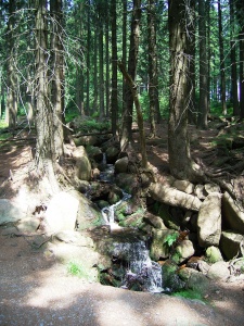 Wasser am Wegesrand