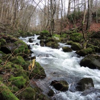 Kleines Bodetal