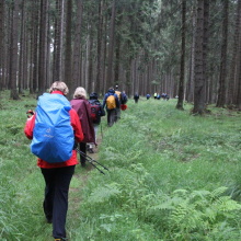 Im Wald vor Elend