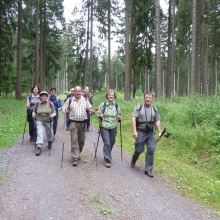 Im Wald vor Tanne