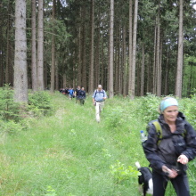 Im Wald vor Elend