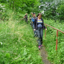 Abstieg zur Bodebrücke