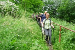 Abstieg zur Bodebrücke1