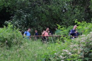 Abstieg zur Brücke über die warme Bode