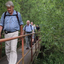 Auf der Brücke über die warme Bode