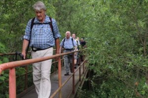 Auf der Brücke über die warme Bode