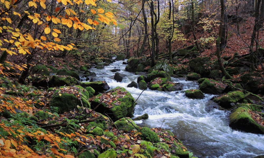 Kleines-Bodetal-1