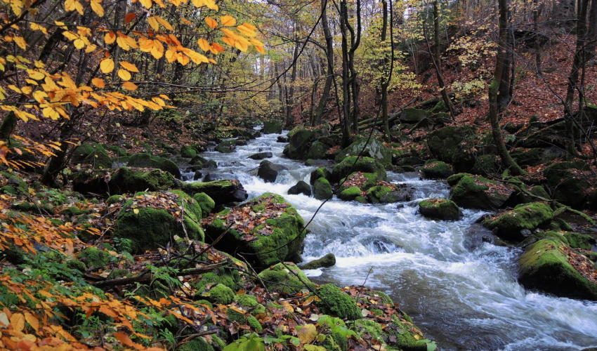 Kleines-Bodetal-1